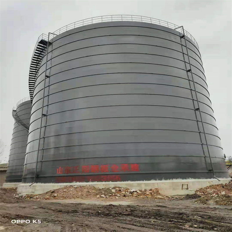 新平3万吨大型钢板库