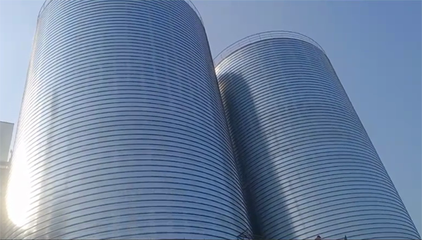 新平2座混凝土高架卷板仓